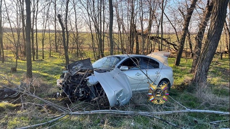 Автоледи не справилась с управлением и влетела в дерево в Гулькевичском районе