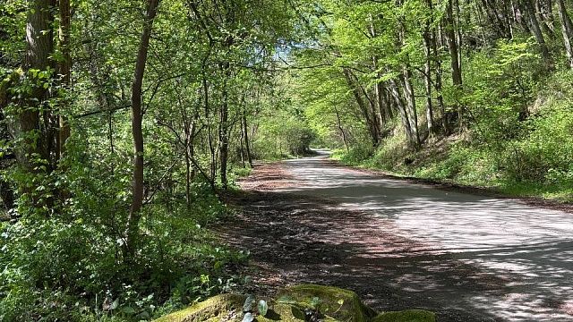 Фото: телеканал «Краснодар»