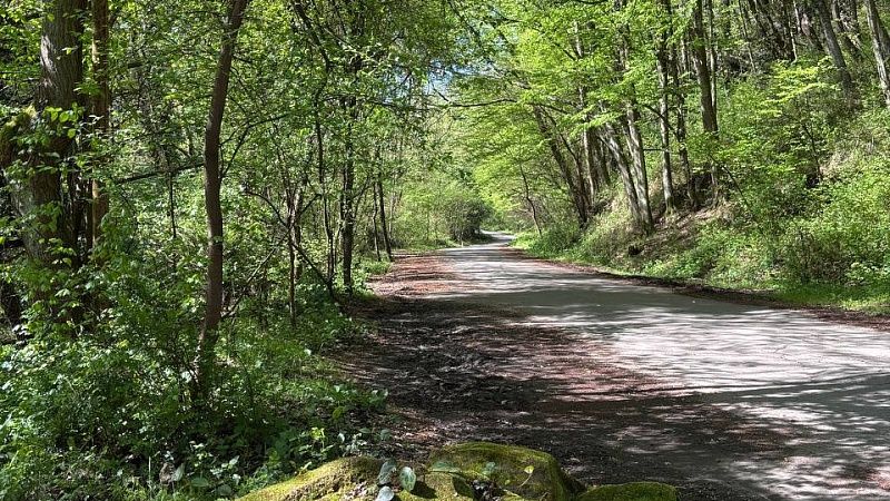 Появление похитителя душ зафиксировали в Приморье