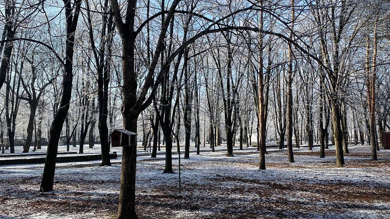 В Краснодаре ожидается похолодание до -6 градусов
