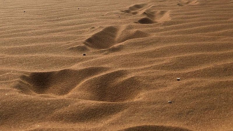 Видео с виселицей для террористов показал министр нацбезопасности Израиля