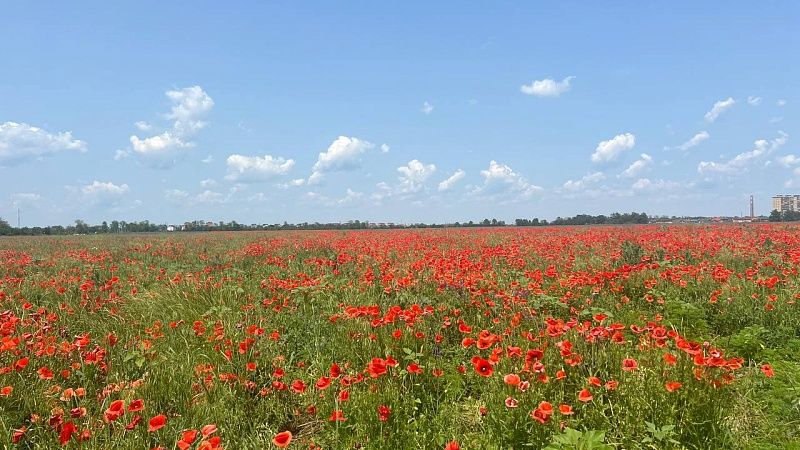 Рискуют лишиться земельных участков почти 100 тысяч жителей России