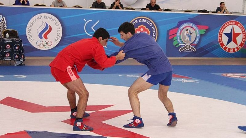 Самбисты Кубани завоевали более 40 медалей на первенстве ЮФО 