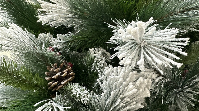 Фото: телеканал «Краснодар»