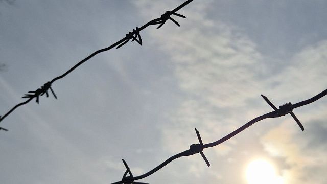 Фото: телеканал «Краснодар» 