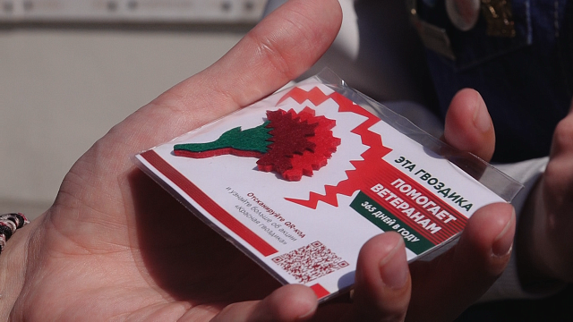 Акция «Красная гвоздика» стартовала в Краснодаре. Фото: телеканал «Краснодар»