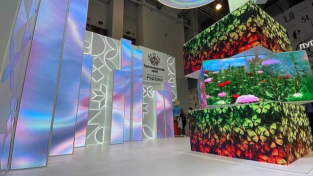 14 декабря на выставке-форуме «Россия» пройдет День Краснодарского края. Фото: телеканал «Краснодар»