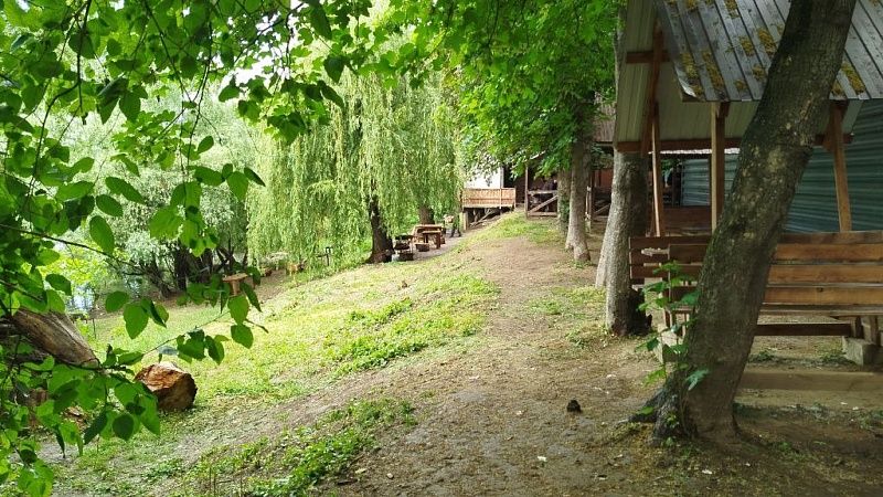 HR-эксперт Болгова предупредила о рисках корпоративов на природе