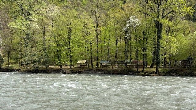 Мужчина утопил пистолет и получил внушительный штраф в Екатеринбурге