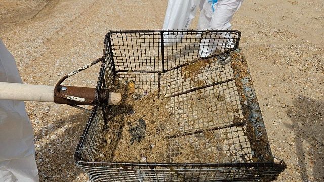 Маты для сбора скопившегося на дне мазута протестируют в Анапе 