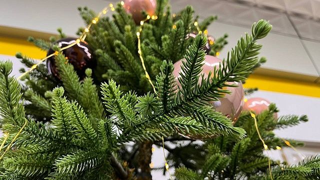 Огромная новогодняя елка рухнула на Тверском бульваре в центре Москвы 