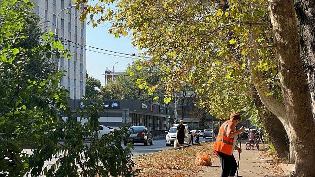 Фото: телеканал «Краснодар»