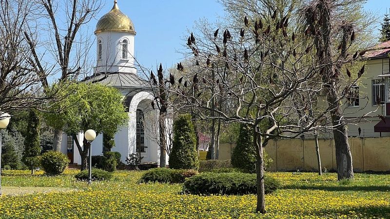 Вильфанд: к концу недели температура будет достигать 27 градусов тепла на Кубани