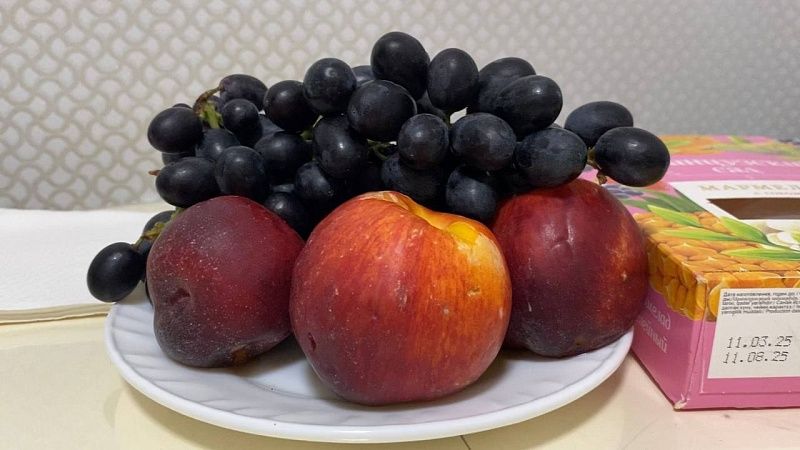 Подорожание иранских фруктов на 25% зафиксировали в России 