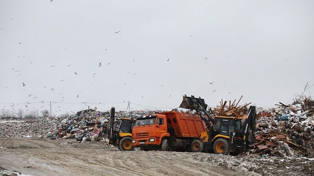 Фото: пресс-служба администрации Краснодарского края