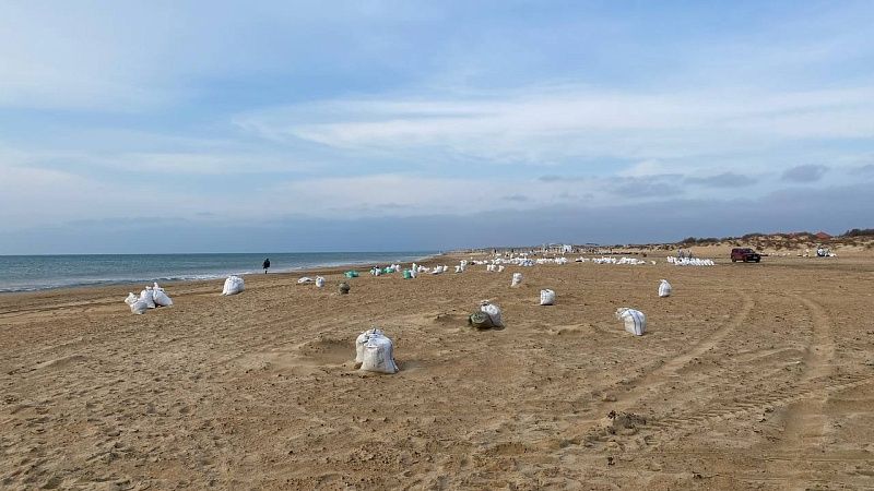 Краснодарцы вывезли 320 кубометров загрязнённых отходов за сутки с пляжей Анапы