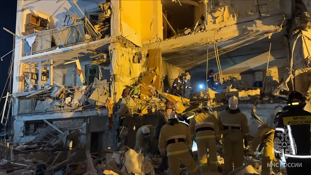 Кота Зевса разыскивает хозяйка после взрыва в доме в Севастополе