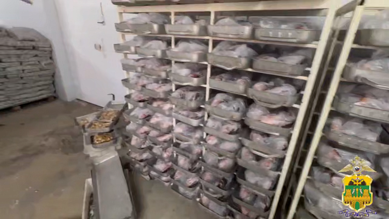 Более 40 тонн нелегальных морепродуктов изъяли полицейские в Темрюкском районе