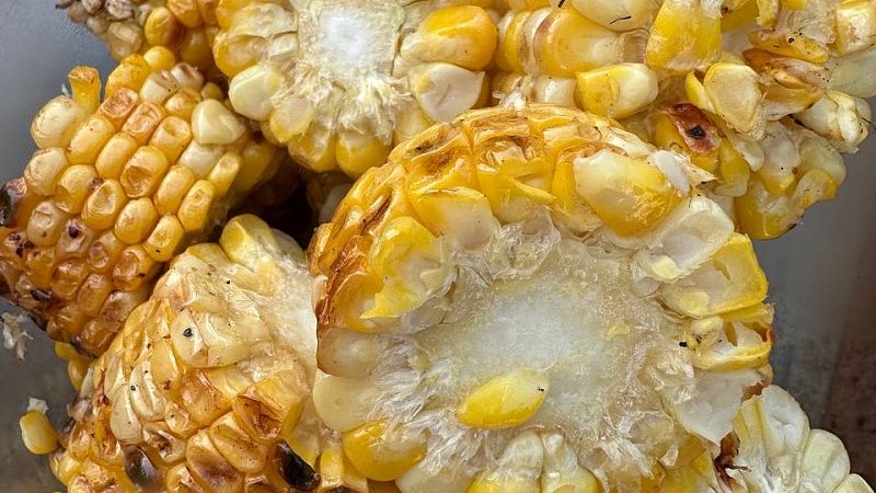 Кукуруза в силосной башне насмерть завалила мужчину в Приморье