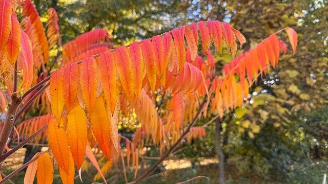 Фото: телеканал «Краснодар»