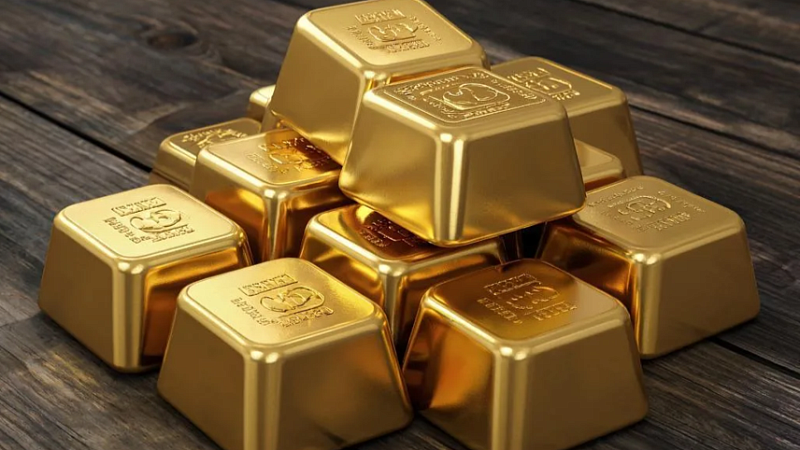 Нелегально добывавших золото мигрантов задержали в Приамурье