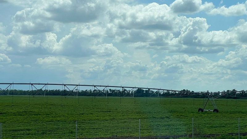 Способ снизить выбросы в сельском хозяйстве без потери урожая нашли в России