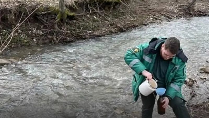 Суд взыскал с кубанской базы отдыха 6 миллионов за разлив нефти в реке Убин