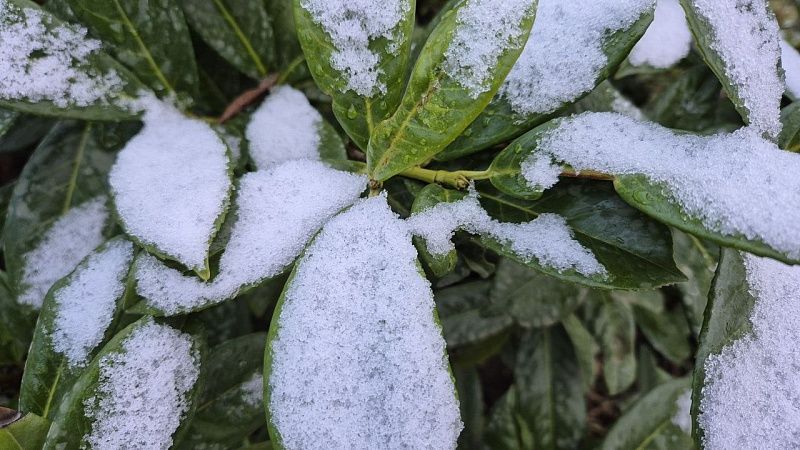 Морозы сковали побережье Чёрного моря на Кубани