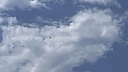 ТАСС: экипаж пропавшей Cessna оказался без запасов для выживания в тайге