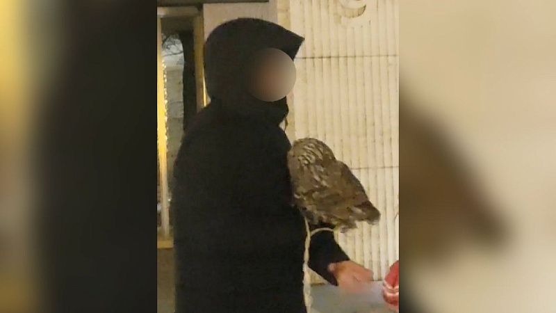 Полиция Краснодара разыскивает мужчин, предлагавших фото с птицами на морозе