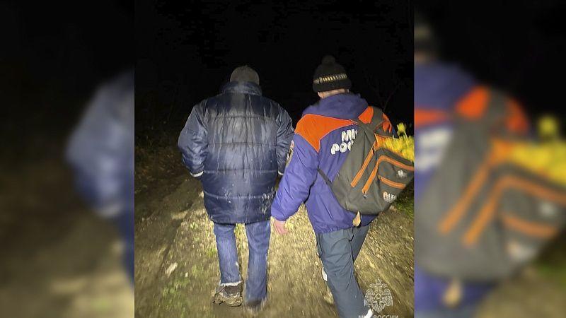 Пенсионера с нарциссами спасли из оврага в Сочи