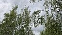 Град повредил более 2 тысяч гектаров озимых в трёх районах Кубани