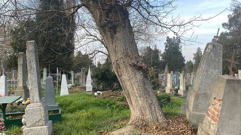 Около 100 комплектов останков нашли в подвале у жителя Филадельфии