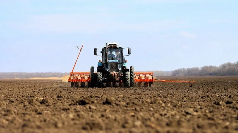 Вениамин Кондратьев сообщил о старте сева сахарной свёклы на Кубани