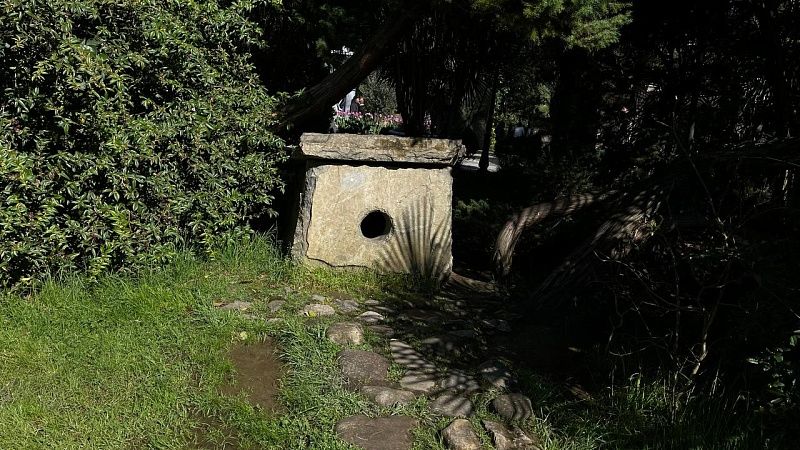 Ученые обнаружили танцующие лезгинку фигуры на дольмене в Сочи