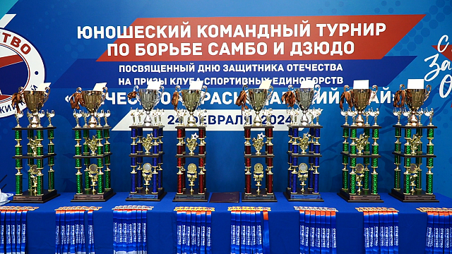В Краснодаре прошёл юношеский турнир по единоборствам. Фото: телеканал «Краснодар»