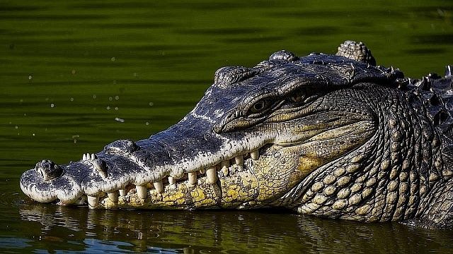 Фото: телеканал «Краснодар»