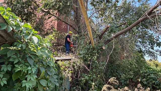 Фото: пресс-службы «Службы спасения» Краснодара.