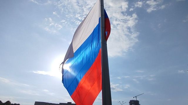 Депутат Госдумы назвал русский одним из самых быстро вымирающих языков в мире