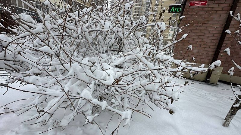 Снег, туман и ураганный ветер накроют 13 января регионы Кубани