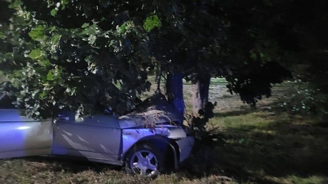 В Армавире легковушка въехала в дерево на большой скорости, пострадал ребенок