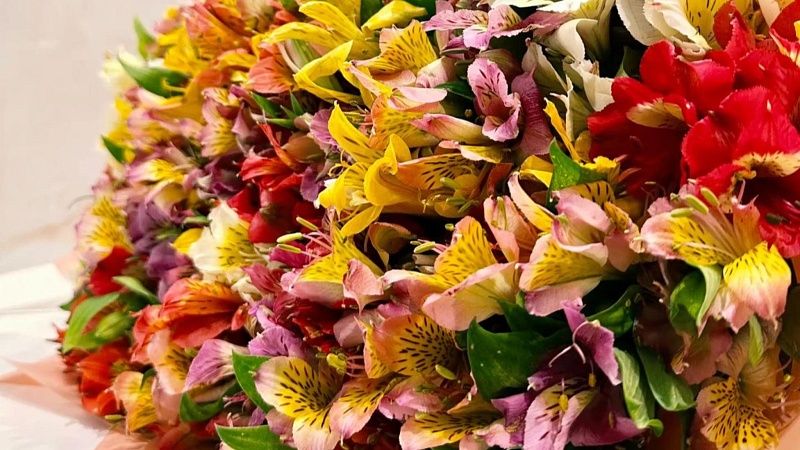 Попытку ввоза заражённых цветов из Армении пресекли в Сочи