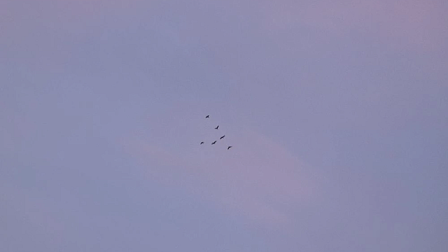 Фото: телеканал «Краснодар»