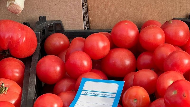 Карантин из-за коричневой морщинистости томата ввели в Тихорецком районе