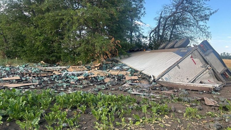 Превысивший скорость водитель фуры вылетел с трассы и погиб на Кубани