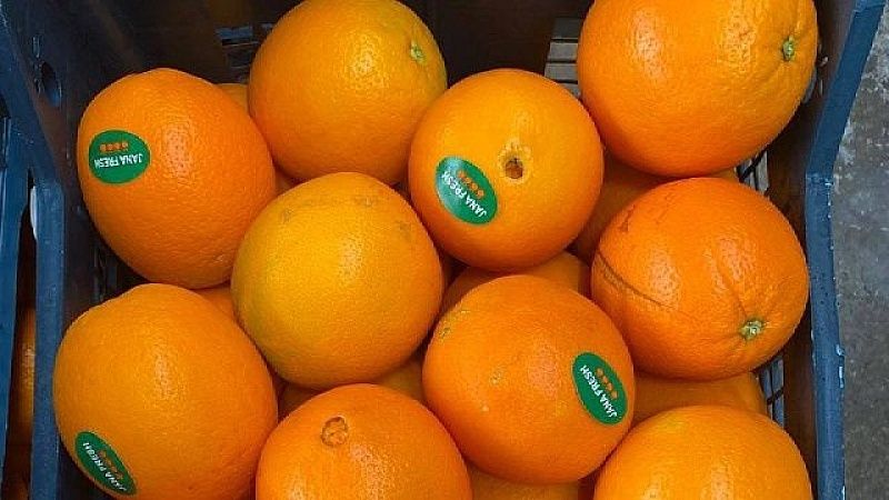 Партию в 25 тонн зараженных апельсинов не дали ввезти в Новороссийск