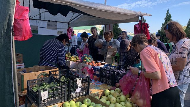 90 тонн фермерских продуктов привезли на ярмарки выходного дня в Краснодаре 