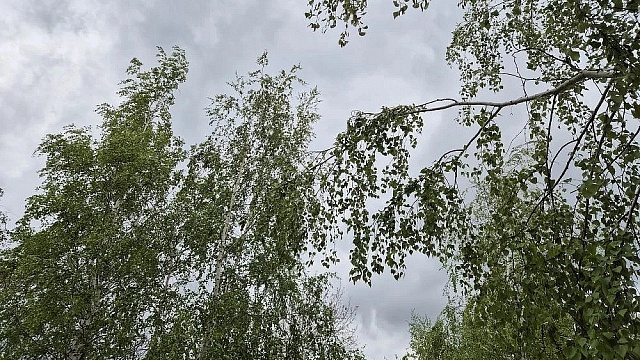 Тело сотрудника МЧС с огнестрельным ранением обнаружили на Алтае