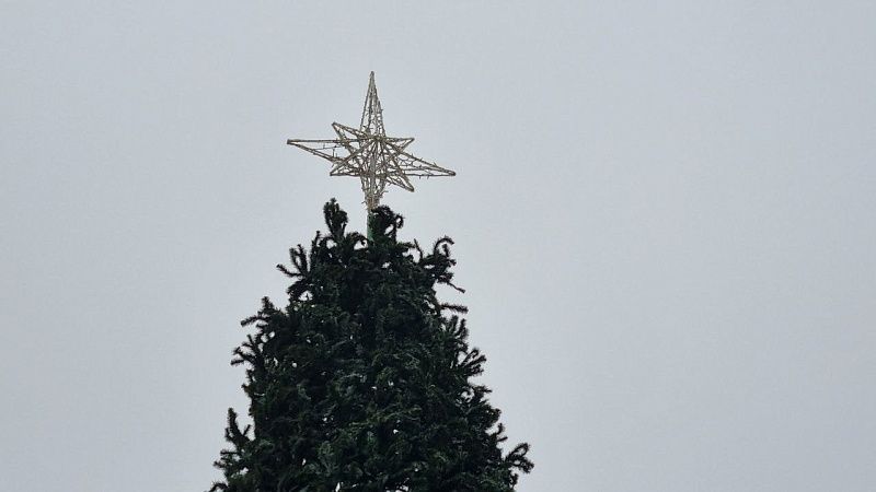 Новогодняя ёлка с гирляндами упала в Мойку из-за сильного ветра в Петербурге