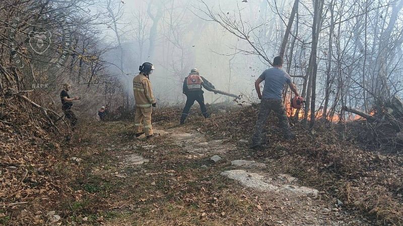 Лесной пожар на площади 0,6 гектара случился в нацпарке Сочи